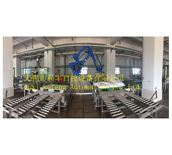 Double-line palletizing production line